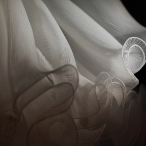 21 Zweite Hochzeit / Erneuerung des Eheversprechens