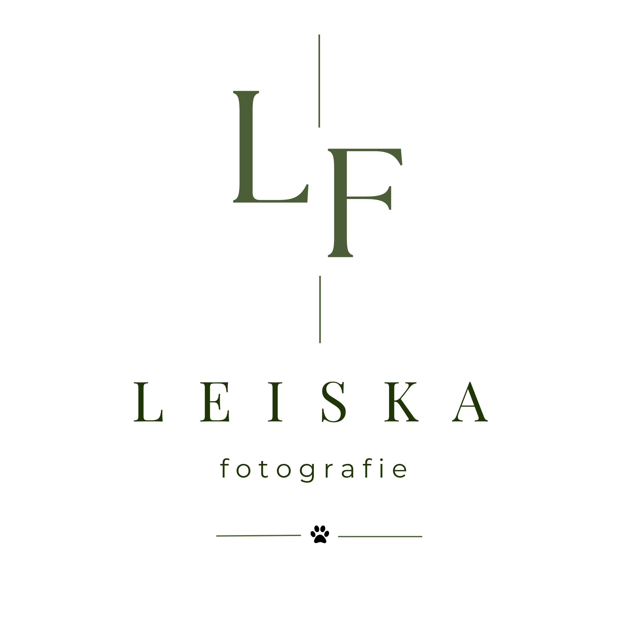 Logo Leiska Fotografie